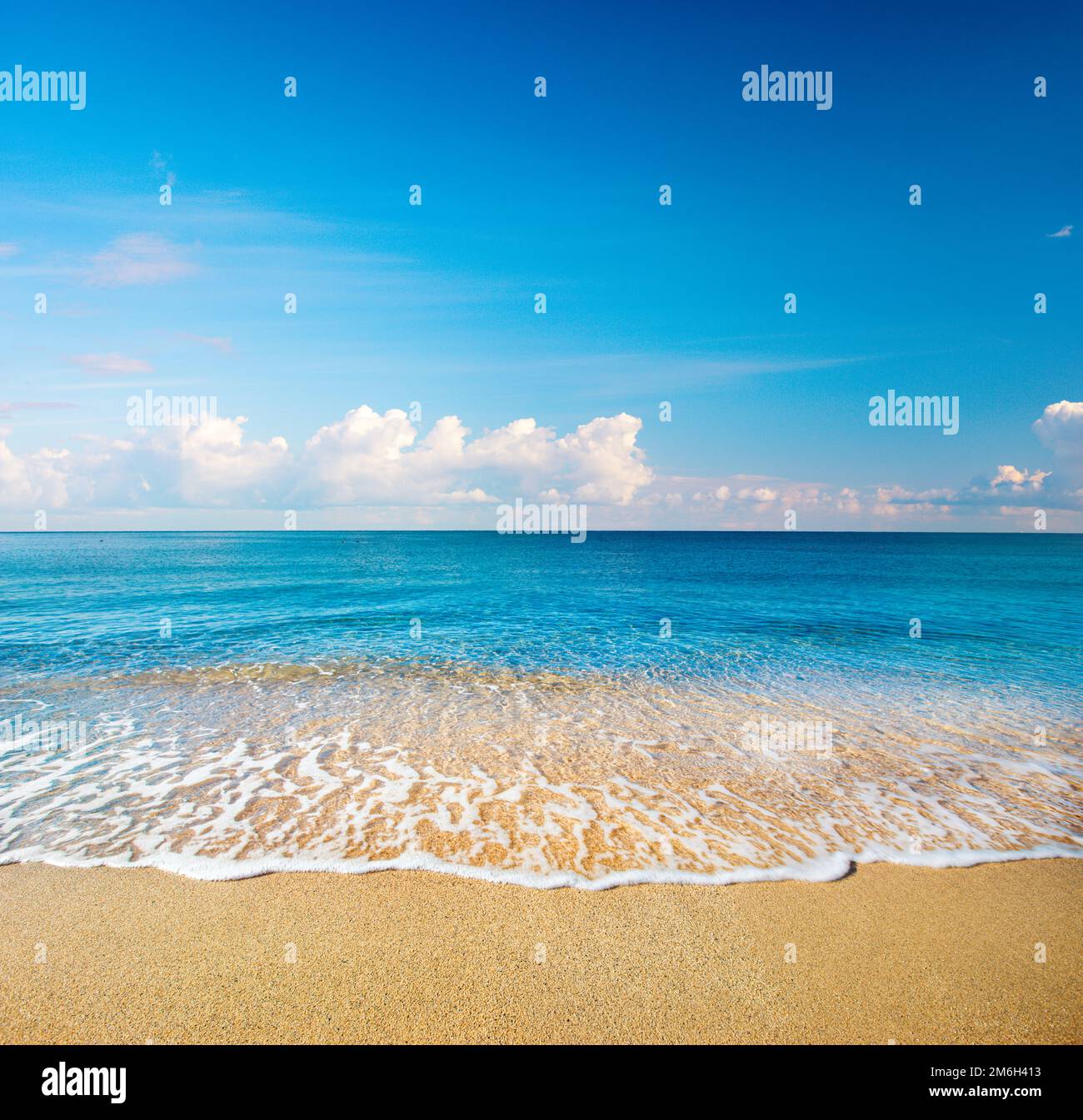 Bellissima spiaggia di sabbia e mare tropicale Foto Stock