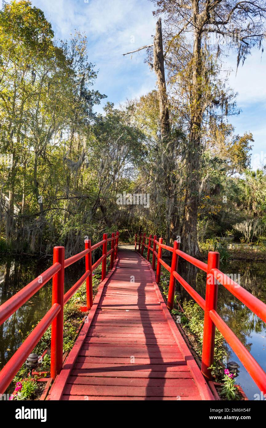 Ponte rosso su uno stagno nella Magnolia Plantation fuori Charleston, South Carolina, USA Foto Stock