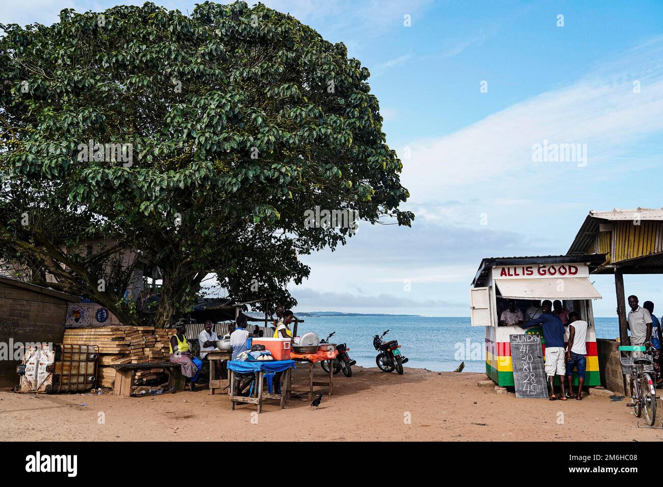 Albero di mango, gente, vita di villaggio, spiaggia, lotteria, Elmina, Golfo di Guinea, Ghana Foto Stock