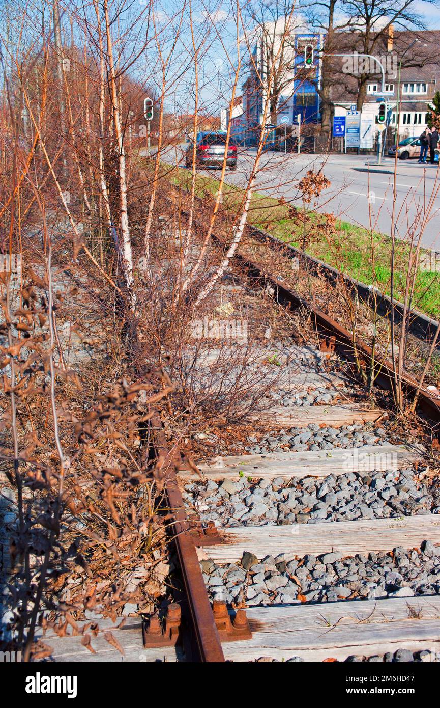 Tram morto, ex linea del tram, in disuso, con alberi e macchia, Sendling, Monaco, Baviera Foto Stock