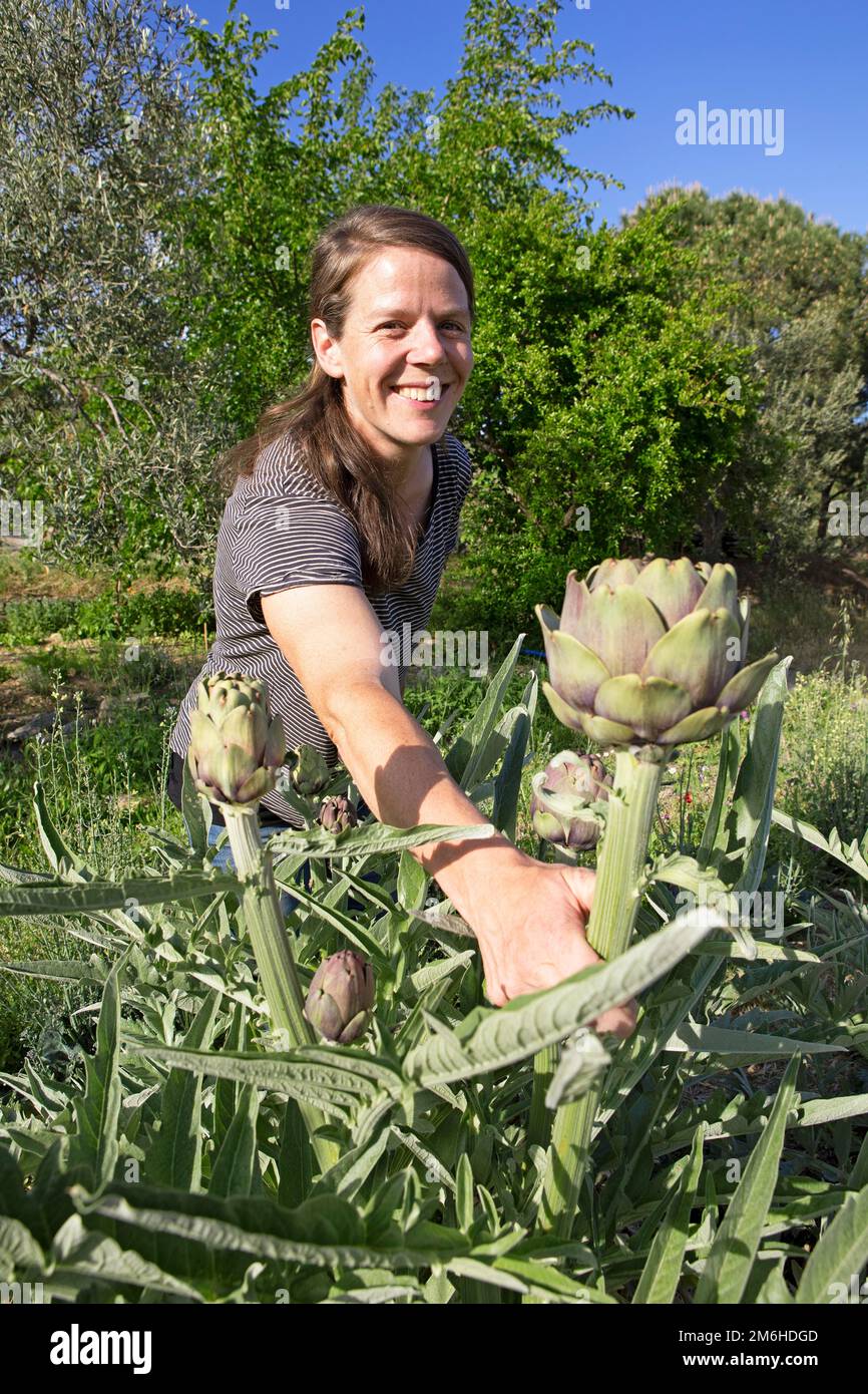 Donna, 36 anni, con carciofo, fattoria tedesco-turca Idamera, Haciarslanlar, Contea di Edremit, Provincia di Balikesir, Turchia Foto Stock
