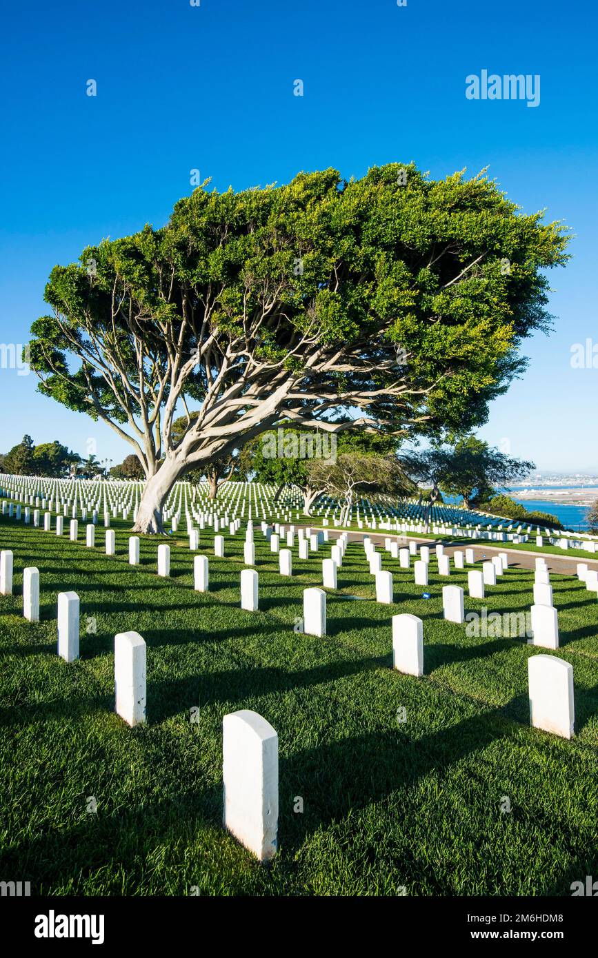 Fort Rosecrans National Cemetery, Cabrillo National Monument, San Diego, California, USA Foto Stock