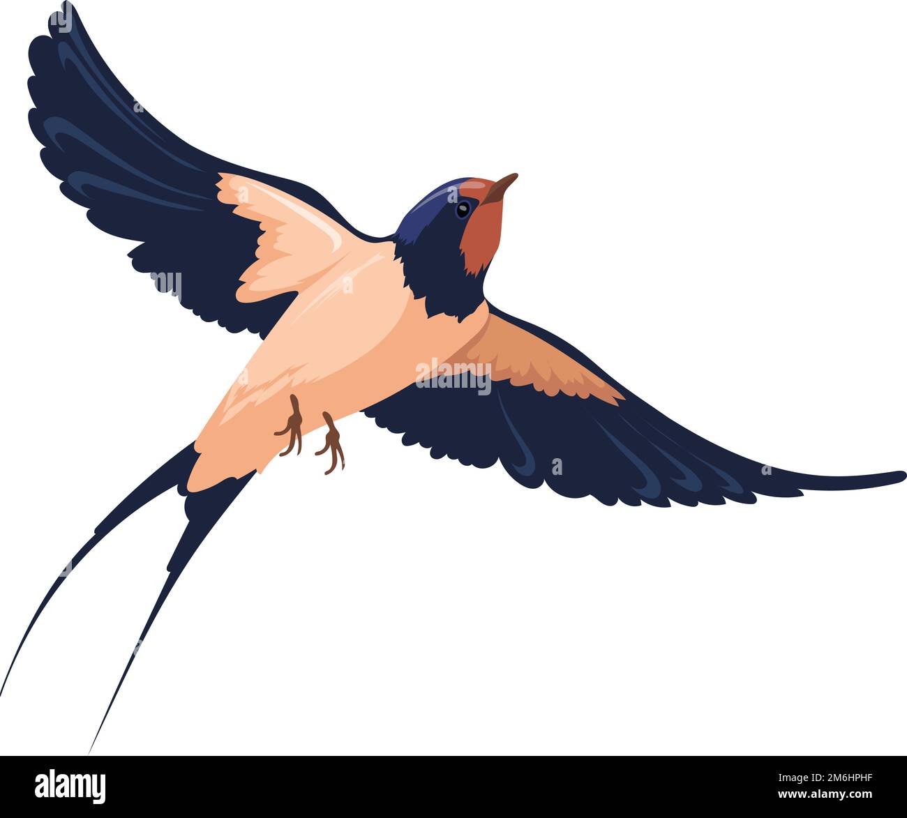 Volo di uccelli selvatici. Inghiottire con ampie ali isolate su sfondo bianco Illustrazione Vettoriale