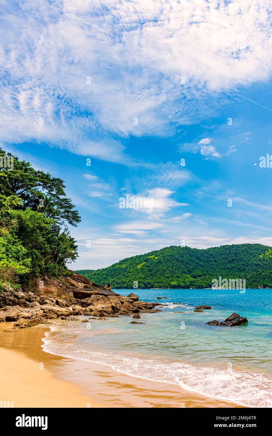 Spiaggia deserta e incontaminata con la foresta pluviale che scende fino al mare Foto Stock