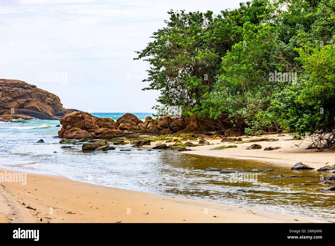 Spiaggia deserta e incontaminata con la foresta pluviale e il fiume che raggiunge il mare Foto Stock