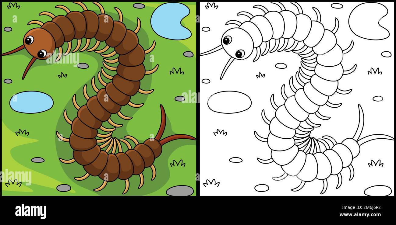 Centipede animale colorazione pagina Illustrazione Illustrazione Vettoriale