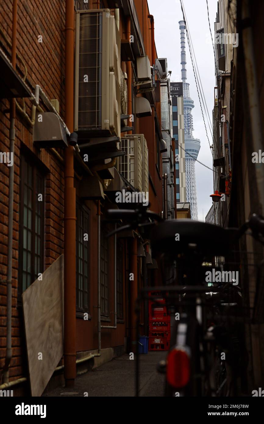 Tokyo Streets "Asakusa Sensoji Temple Area" Foto Stock