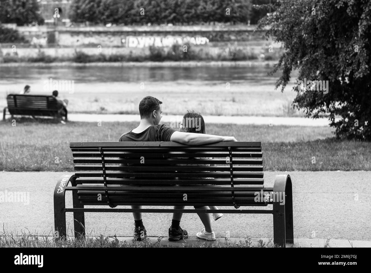 Due coppie sedettero sulle panchine lungo il fiume godendo di un momento tranquillo in un parco di Dresda, Sassonia, Germania. Lungo il fiume Elba. Foto Stock