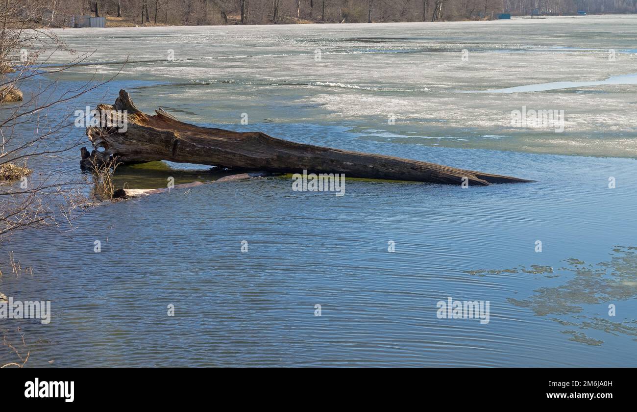 Sciogliere il ghiaccio su un lago. Foto Stock