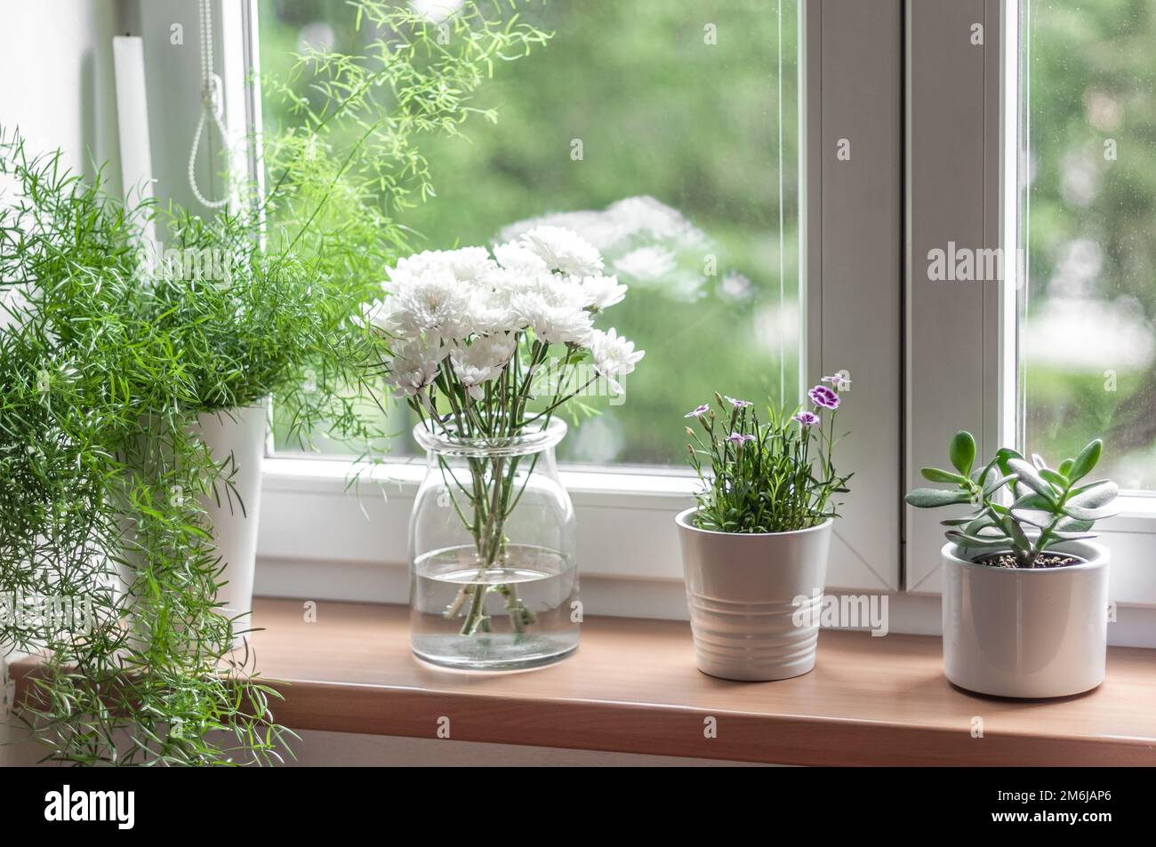 Vista del davanzale con piante da interno Foto stock - Alamy