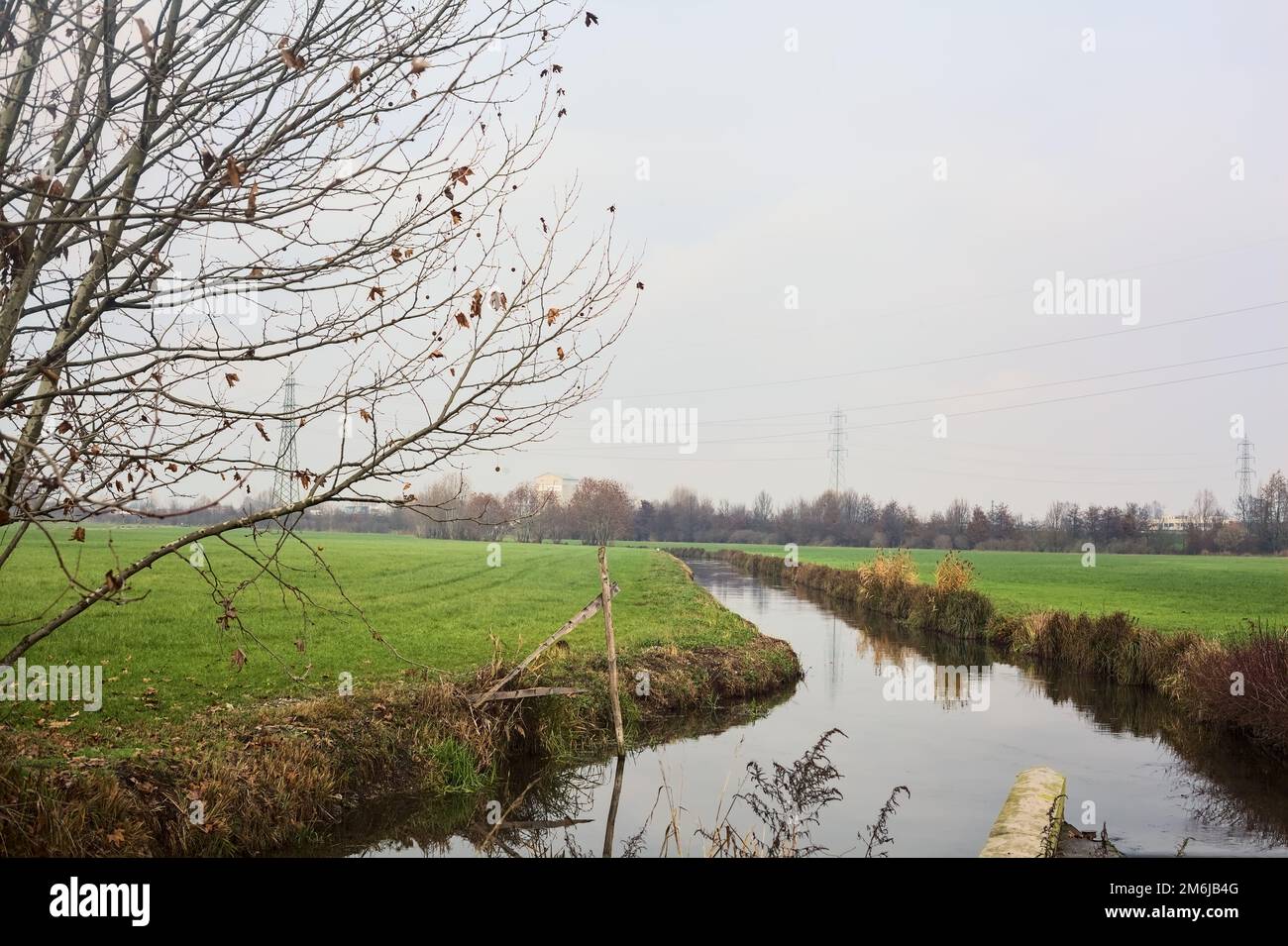 Ruscello d'acqua in campagna in una giornata nuvolosa incorniciata da alberi Foto Stock