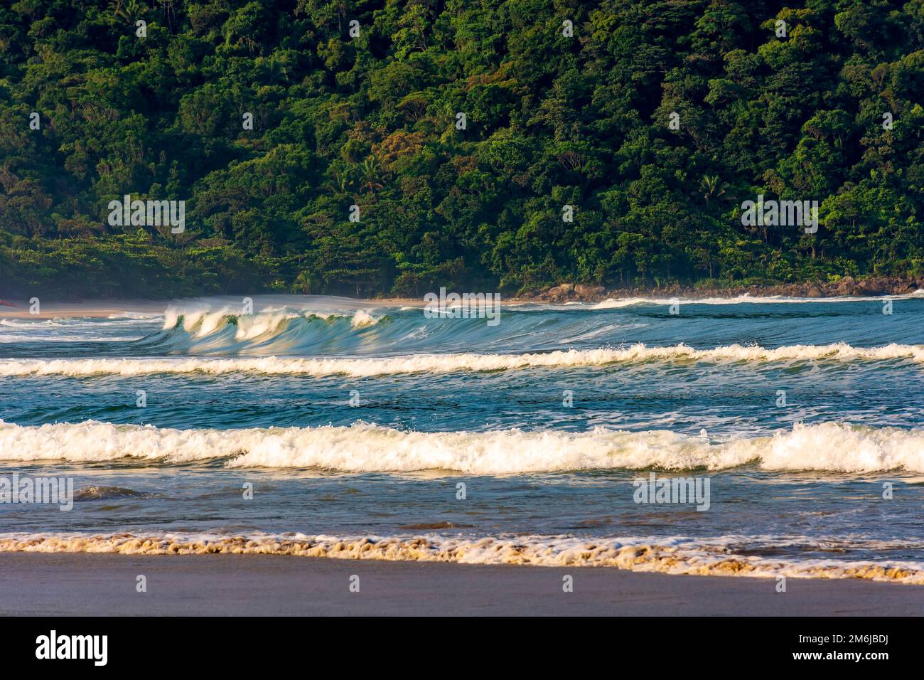 Incontaminata foresta pluviale e colline dietro le onde a White Beach a Bertioga Foto Stock