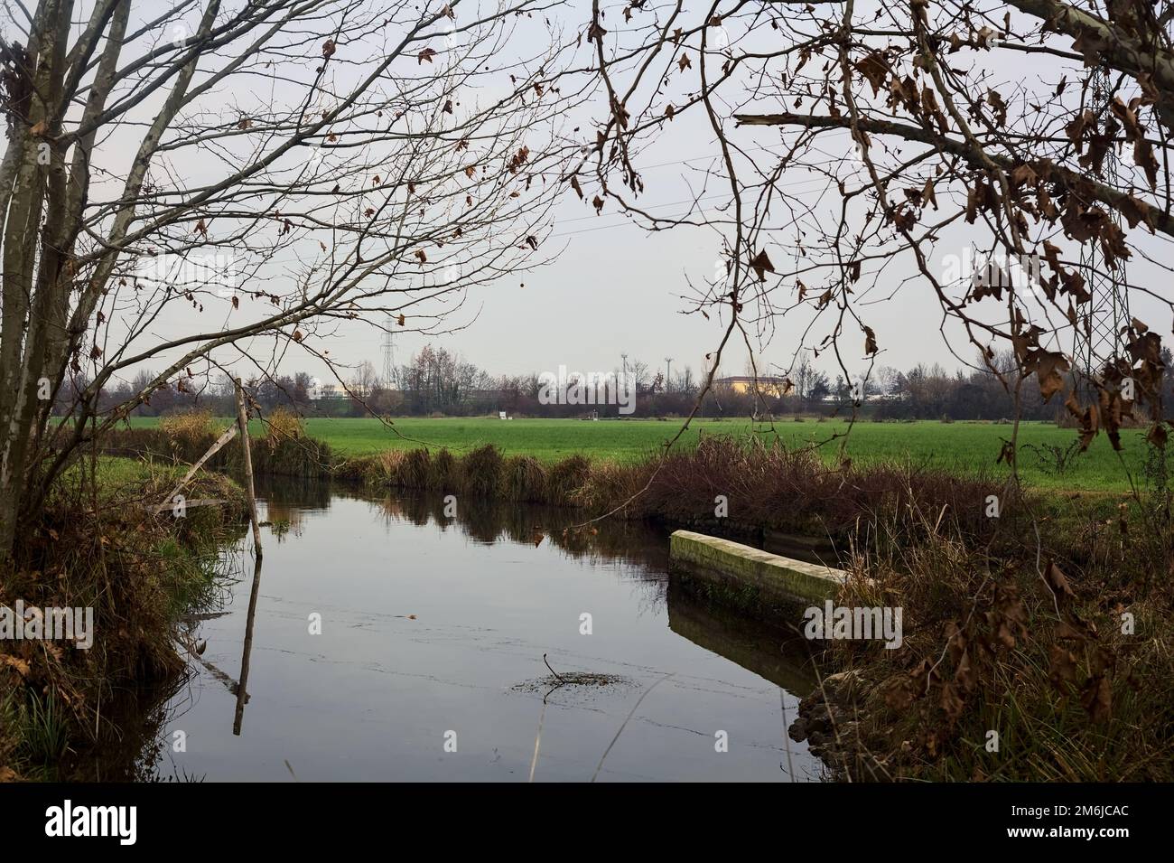 Ruscello d'acqua in campagna in una giornata nuvolosa incorniciata da alberi Foto Stock