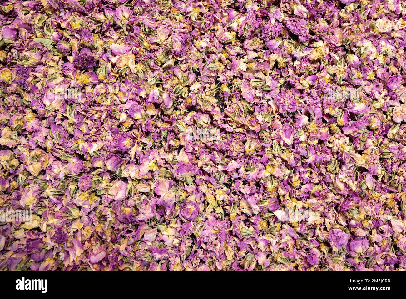 Petali di rosa essiccati con olio Foto Stock