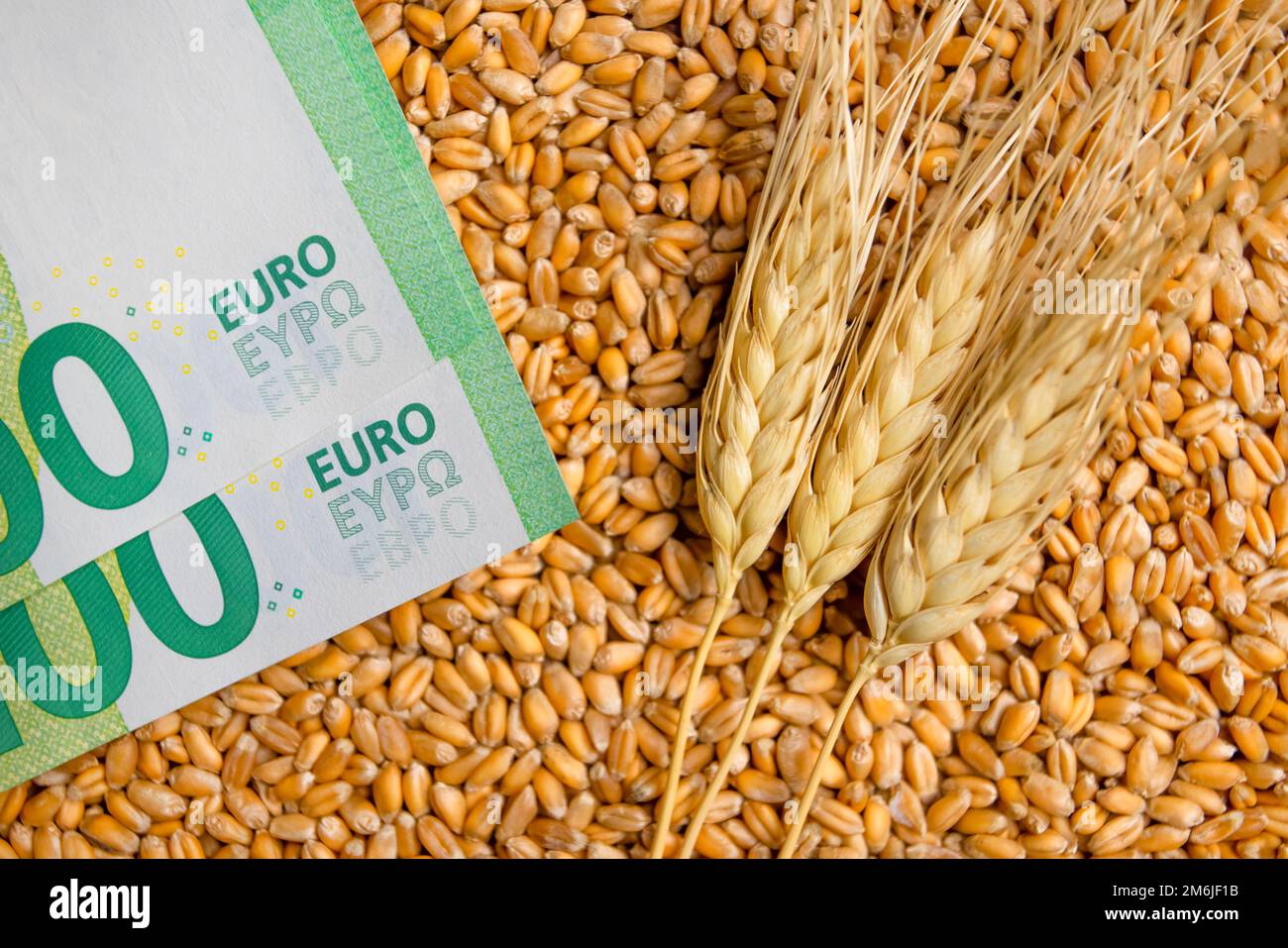 Cash, farina e grano crisis.Record prezzi e prezzi elevati per panetteria.Rising grano prezzi in Europa a causa del conflitto tra R Foto Stock