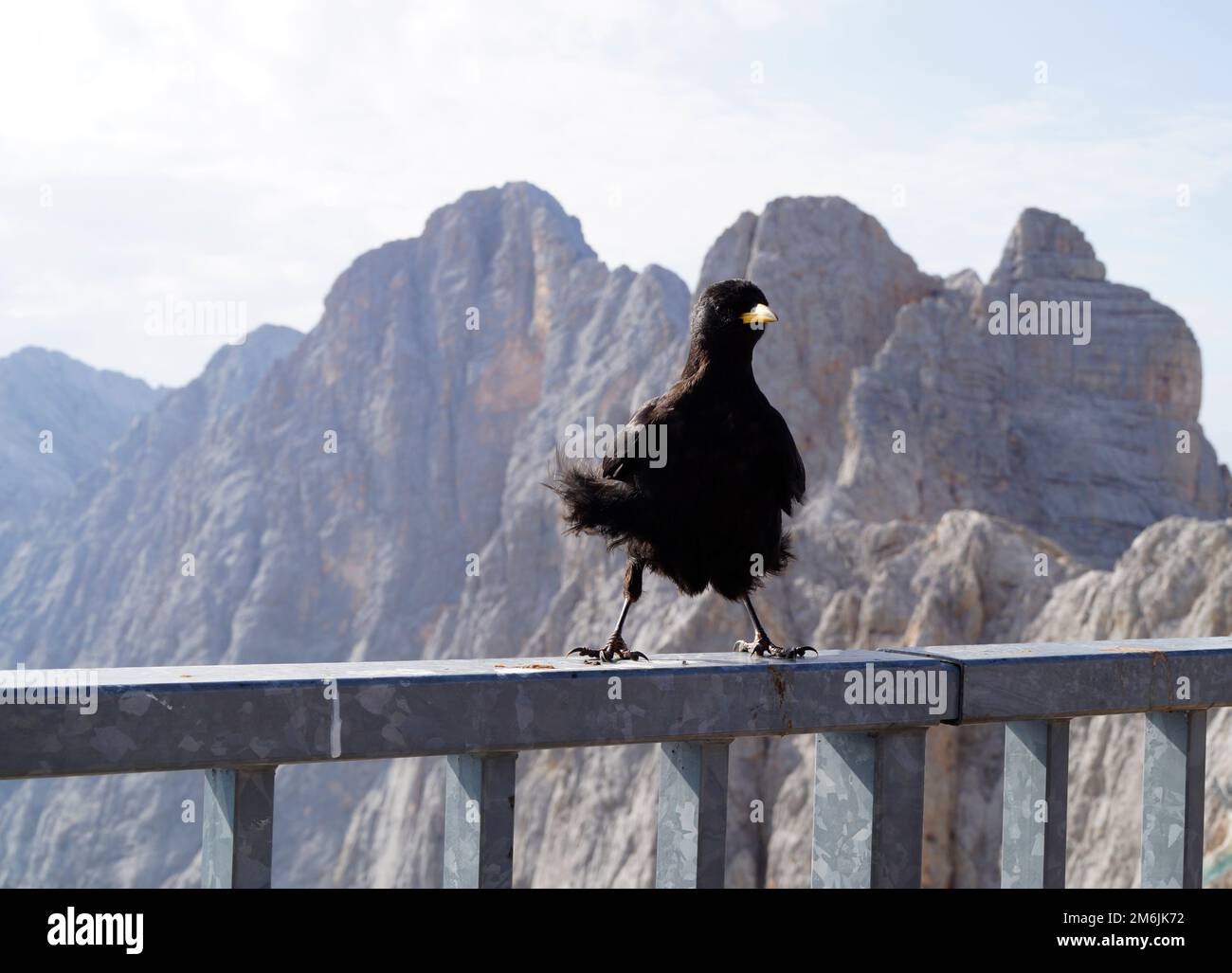 Un baratro alpino nero sull'alta montagna panoramica di Dachstein nelle Alpi austriache della regione di Schladming-Dachstein (Steiermark o Stiria, Austria) Foto Stock