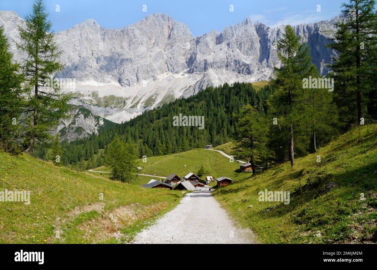Un sentiero che conduce al pittoresco villaggio alpino Neustatt Alm o valle Neustatt ai piedi del monte Dachstein nelle Alpi austriache a Steiermark Foto Stock