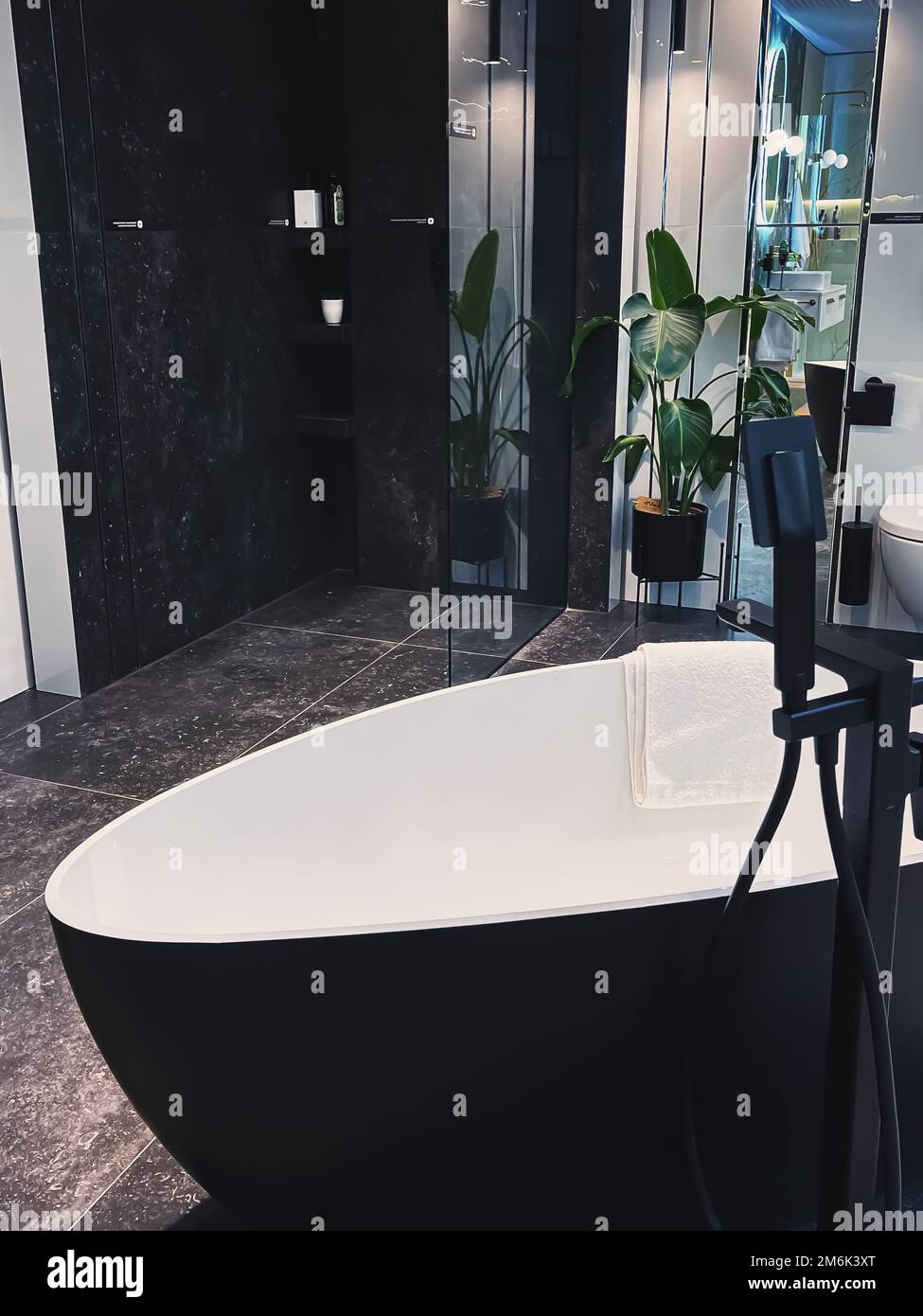 Interni moderni del bagno, arredi ecologici realizzati con materiali biologici e sostenibili, arredamento per la casa e design di lusso Foto Stock