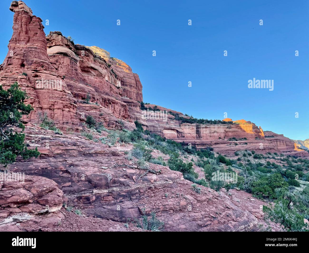 Deserto paesaggio escursioni sedona arizona scottsdale joshua albero bianco cane viaggio turismo avventura all'aperto natura strada viaggio Foto Stock