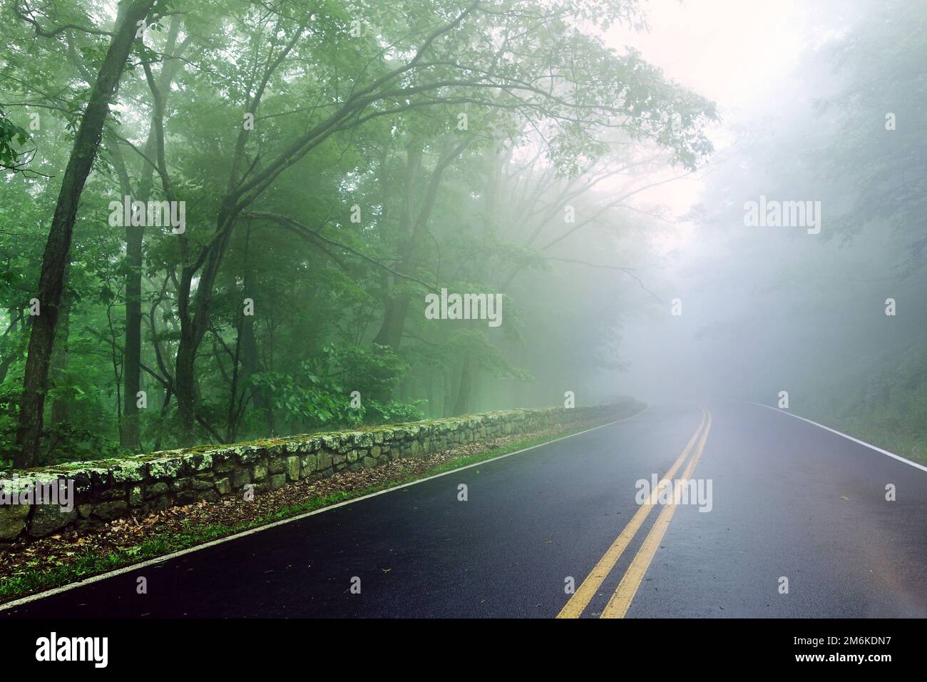 Skyline Drive nel Parco Nazionale di Shenandoah in una serata nebbia e piovosa Foto Stock