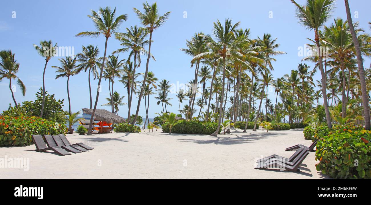 Spiaggia con sabbia bianca, sole e mare tranquillo. Banner tropicale. Foto Stock