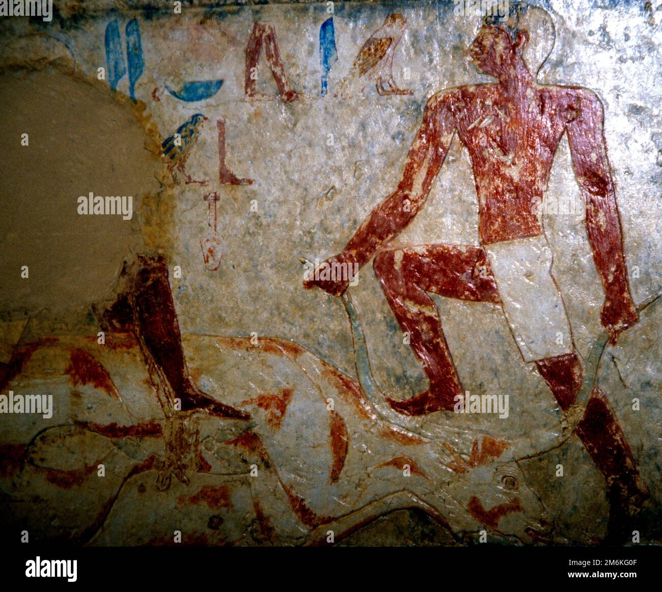 Murale su una tomba a Meir, 6th-12th cimitero per nomarchi, divisione Asyut, Alto Egitto. Coltivatore che mette un piede sul suo aratro bue-disegnato. Foto Stock