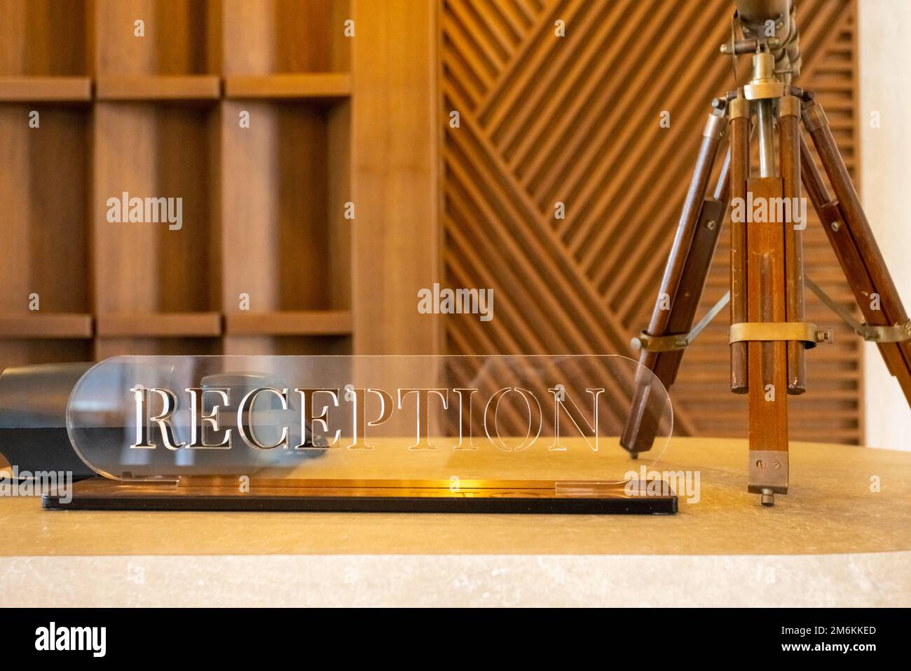 Reception contemporanea, ottimo design per qualsiasi scopo. Business call. Design di stile moderno Foto Stock