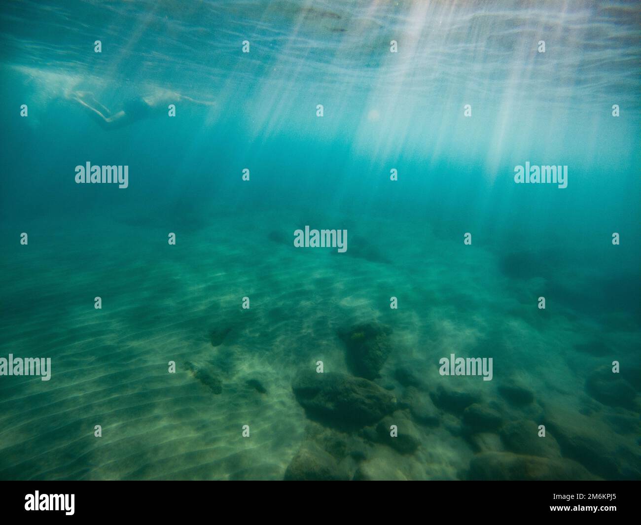 Pesci che nuotano in acqua blu chiaro foto subacquea Foto Stock