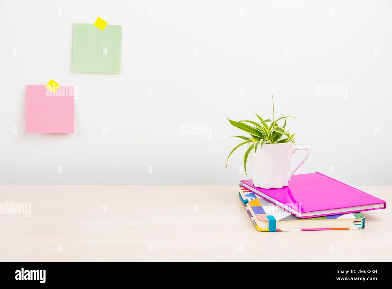 Installazione di un'area di lavoro ordinata, strumenti da scrivania per la scrittura, disposizione di un ufficio intelligente, tavolo di studio, prendere appunti, disegni di una stanza fresca, Org Foto Stock