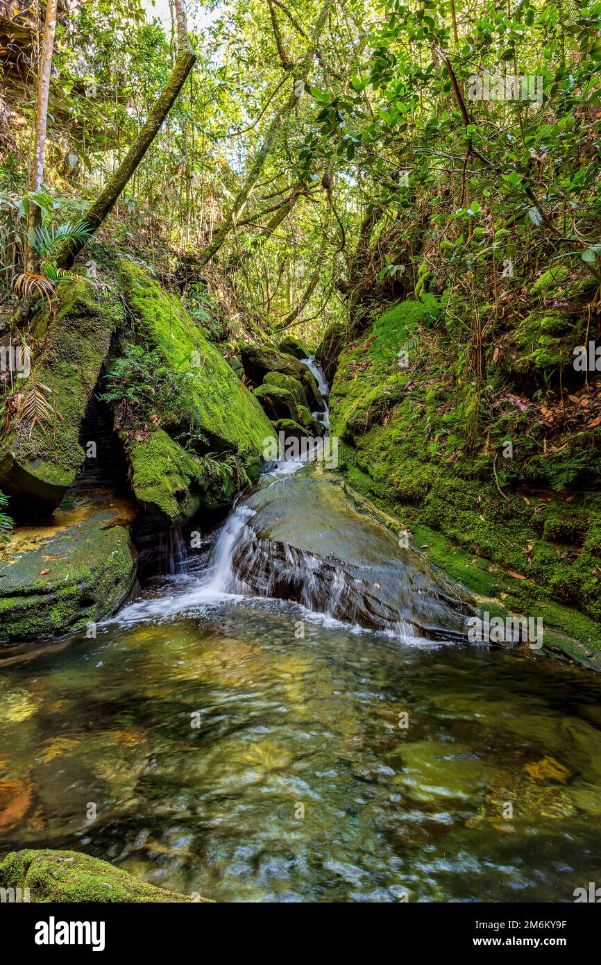 Piccolo ruscello con acqua che scorre tra le rocce e la vegetazione della foresta pluviale Foto Stock