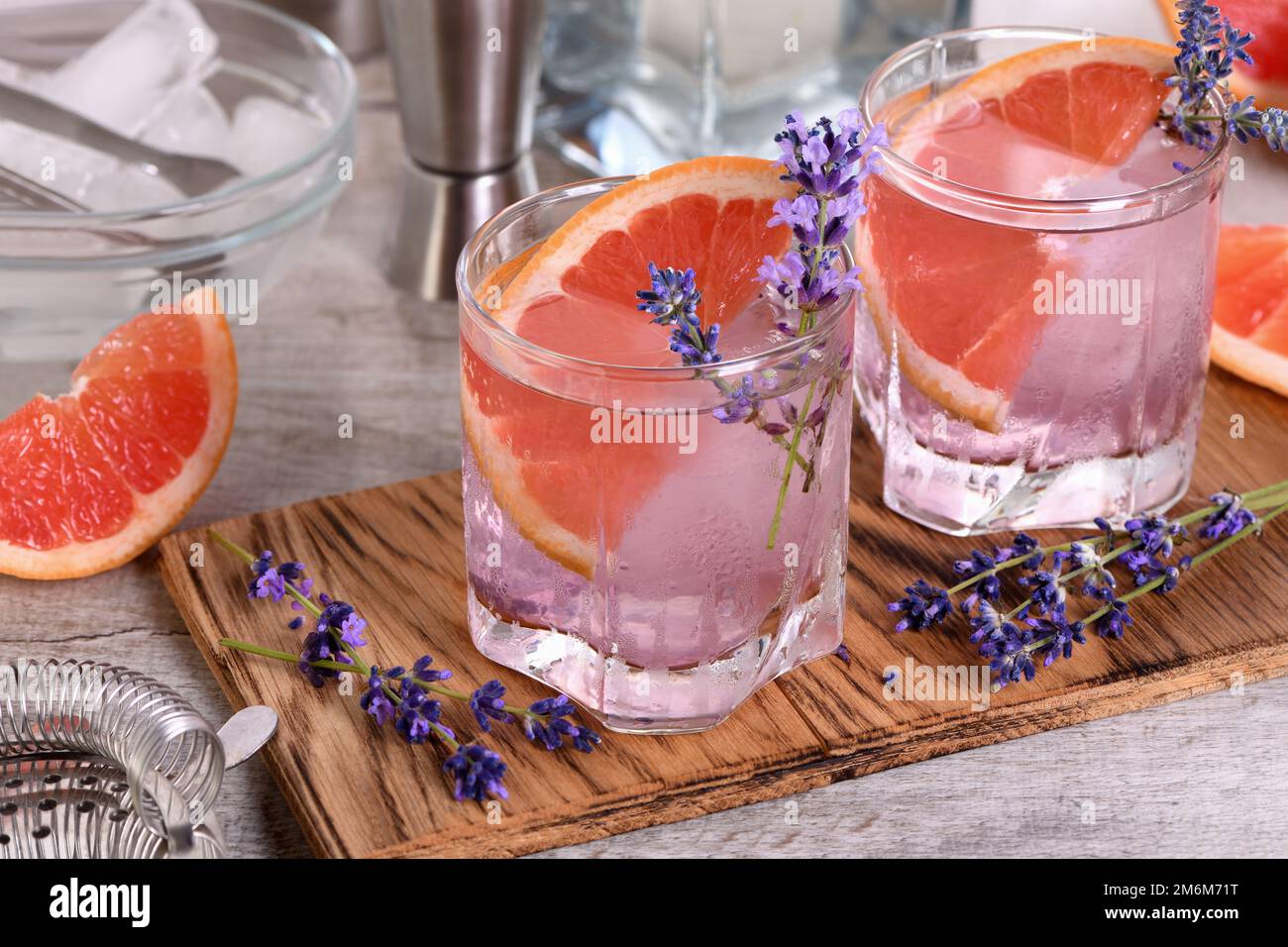 Rinfrescante paloma di lavanda Foto Stock