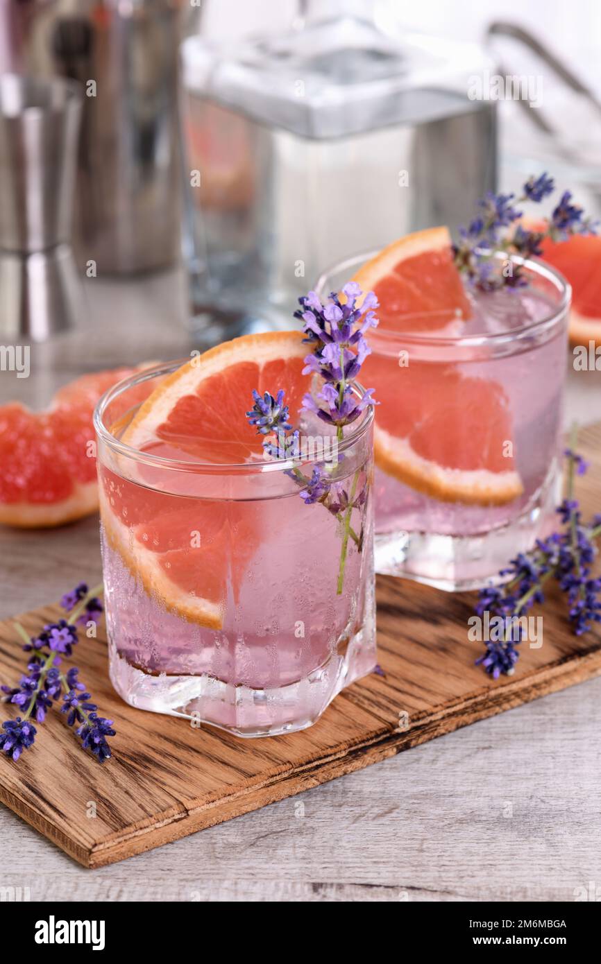 Rinfrescante paloma di lavanda Foto Stock