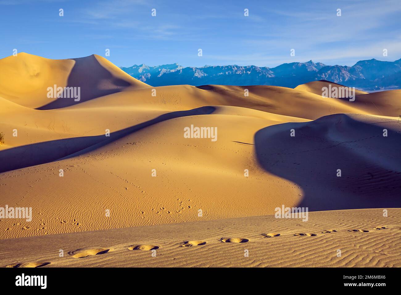 Magica mattina nel deserto Foto Stock