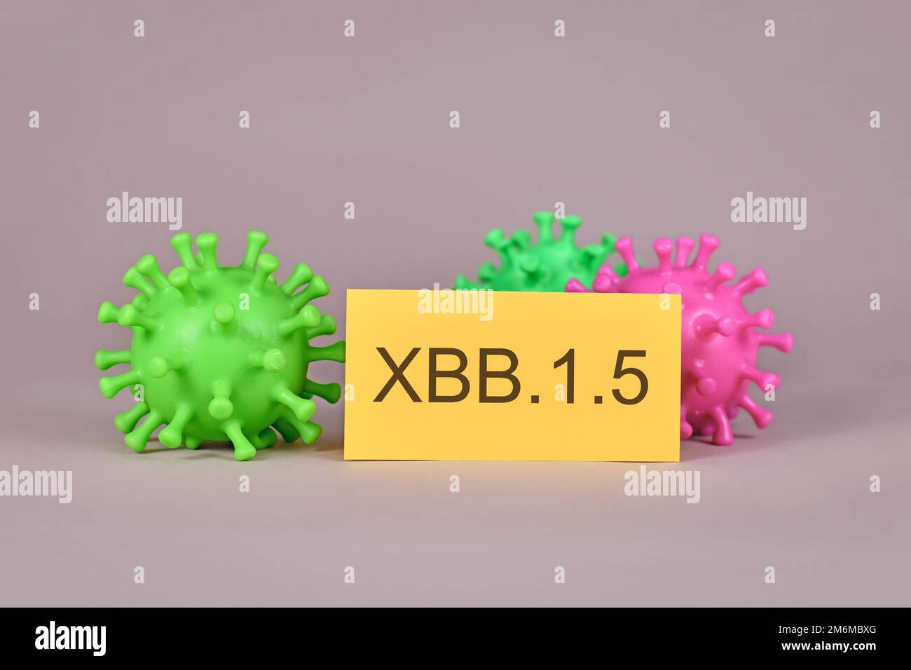Nuovo concetto XBB.1,5 Omicron subvariant di mutazione del virus con modello e testo del virus Foto Stock