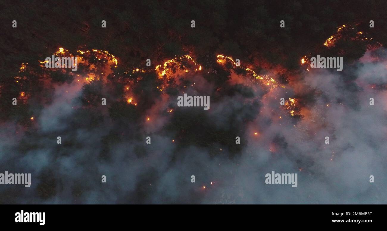 Vista panoramica aerea di un incendio nella foresta di notte, il fumo pesante causa inquinamento atmosferico, e fuoco in piena vaiolatura. Disastro naturale epico Foto Stock