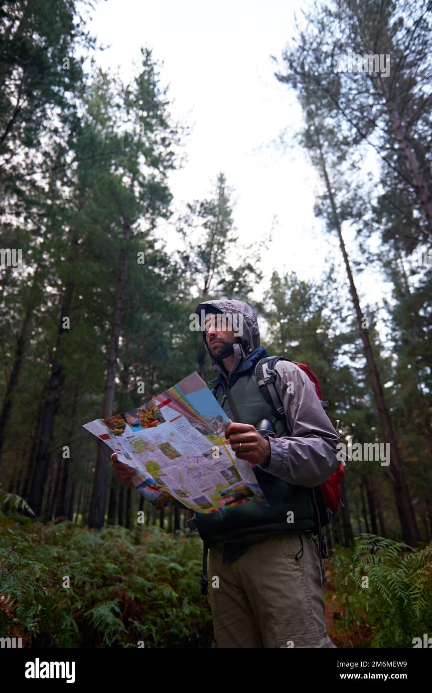 Trova il tuo percorso. un uomo in una pineta con una mappa, calcolando il suo orientamento. Foto Stock