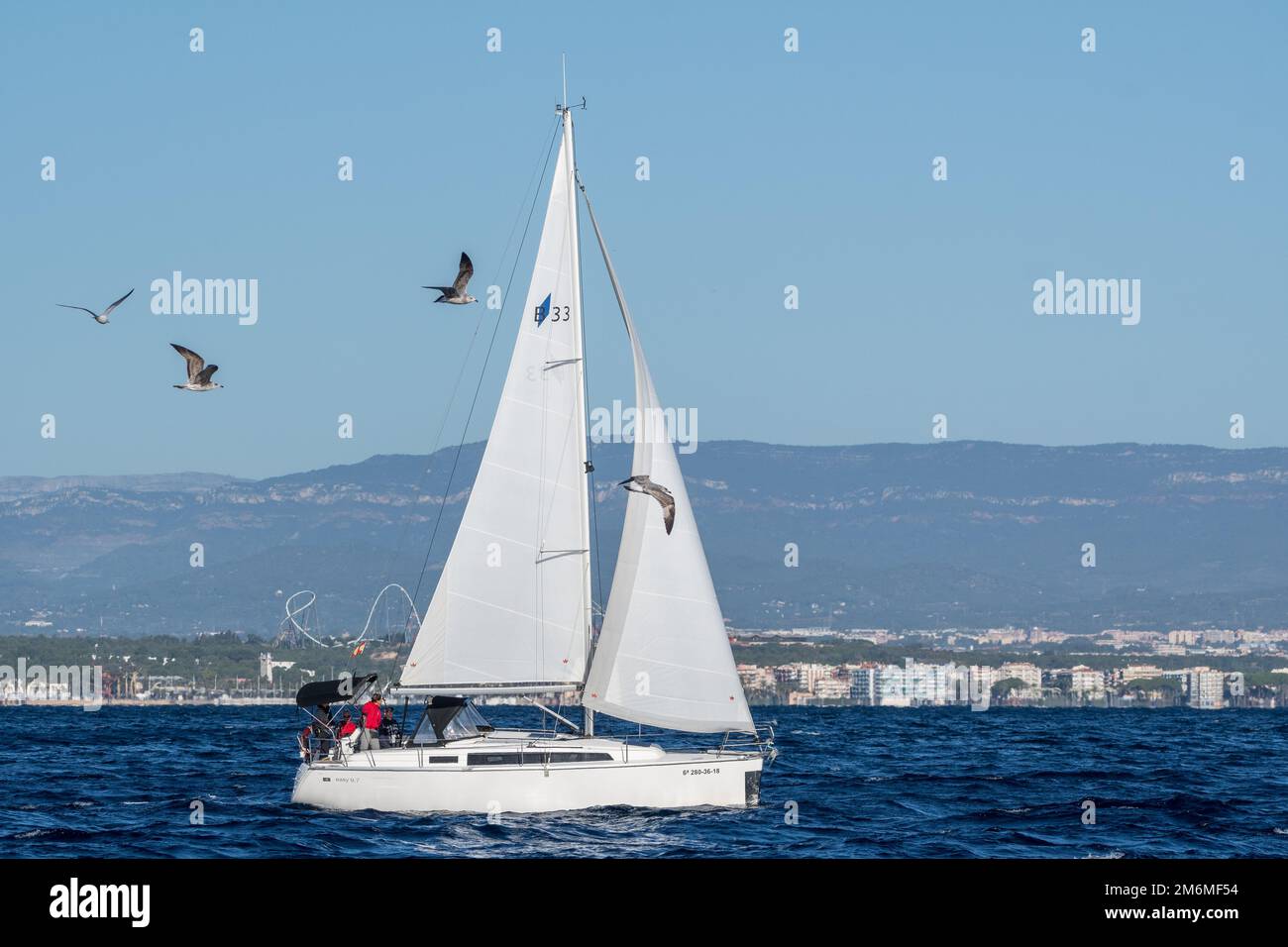 barca a vela sul mare, gabbiani volanti, Tarragona, Catalogna, Spagna Foto Stock