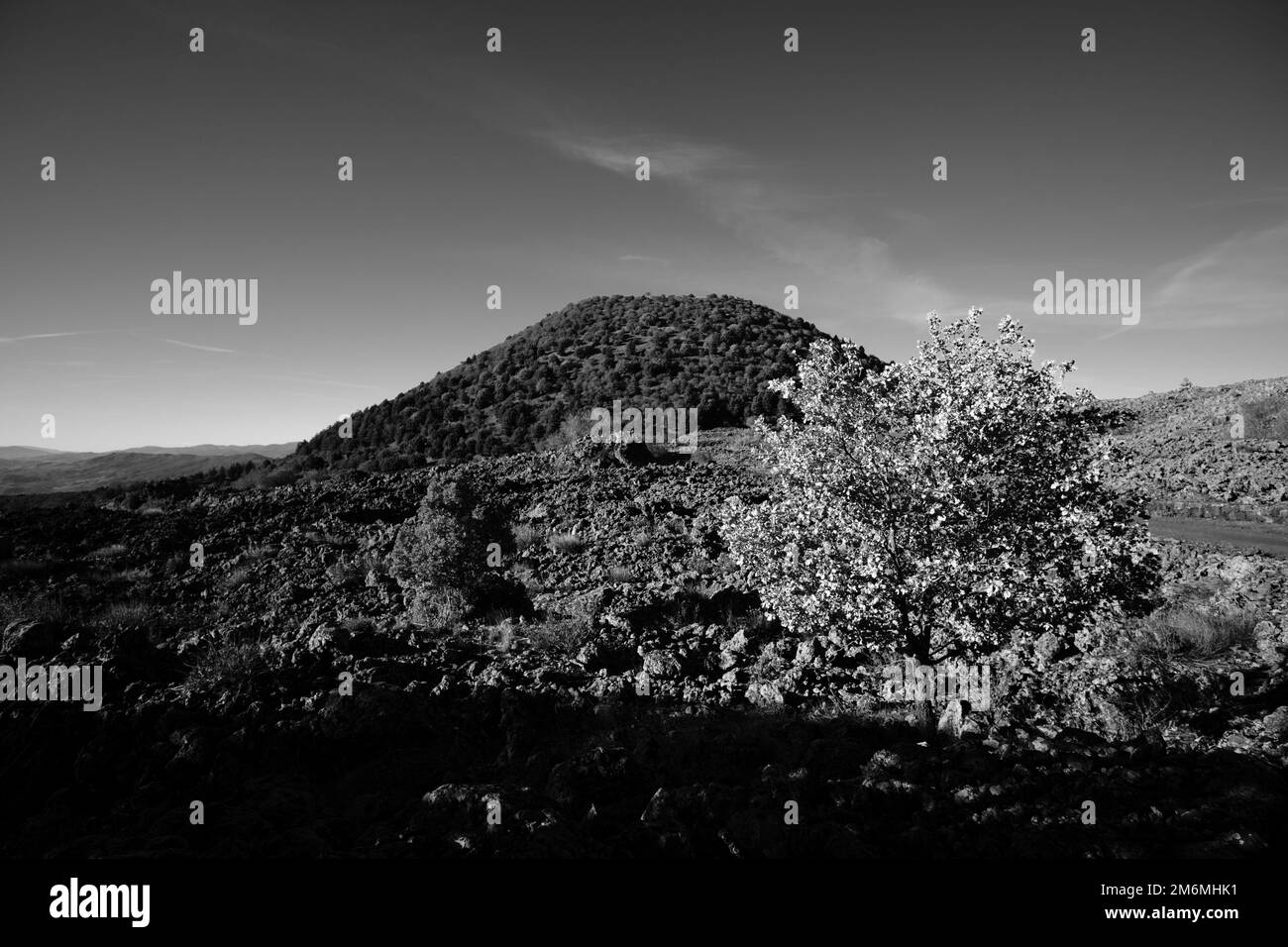 Paesaggio bianco e nero nel Parco Nazionale dell'Etna, Sicilia, Italia Foto Stock
