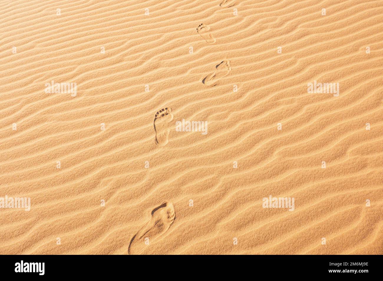 Orme sulla sabbia a North Herr dune di sabbia a Marsabit, Kenya Foto Stock