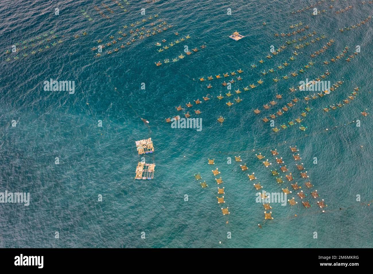 Navi e pescatori stanno pescando le acciughe nell'isola di Yen, Phu Yen, Vietnam Foto Stock
