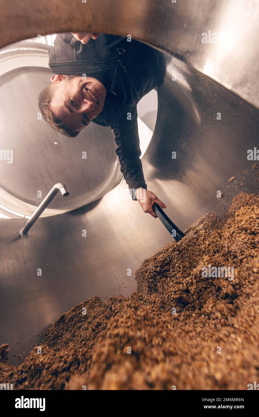 La miscelatura di macinato di grani di malto per la preparazione di malto. Procedimento di fabbricazione di birra di grano di orzo. Foto Stock