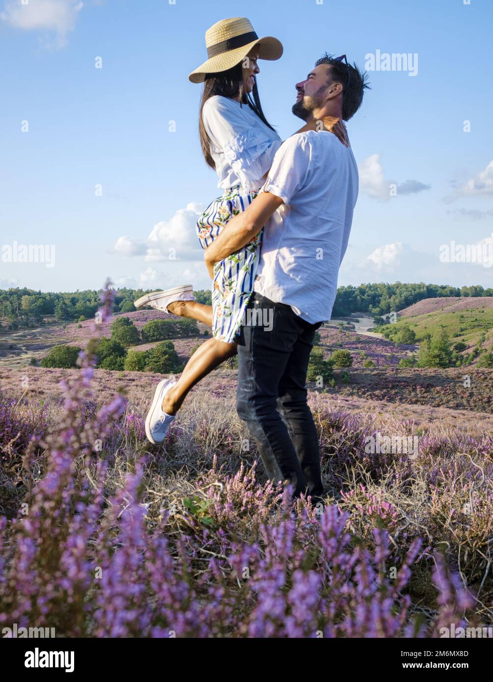 Parco Nazionale di Posbank Veluwe, erica rosa porpora in fiore, calorifero fiorente sul Veluwe Foto Stock