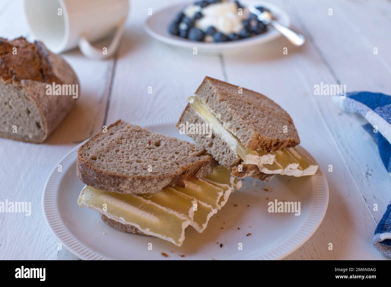 Sandwich di pane a pasta madre con formaggio a basso contenuto di grassi e di quark ad alto contenuto proteico. Servito con yogurt fresco e frutti di bosco su un tavolo bianco Foto Stock