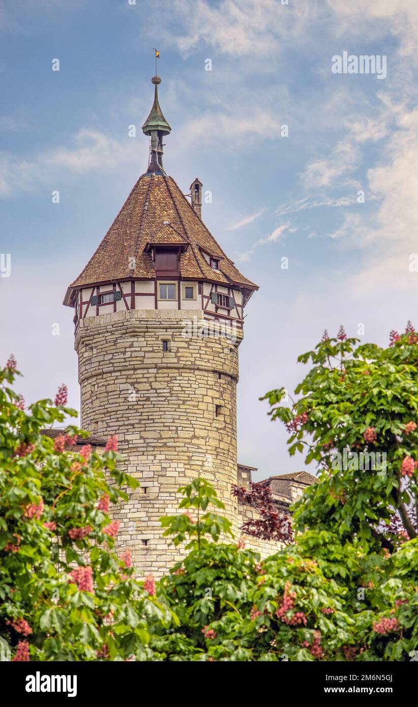 Torre della fortezza medievale Munot, Sciaffusa Foto Stock