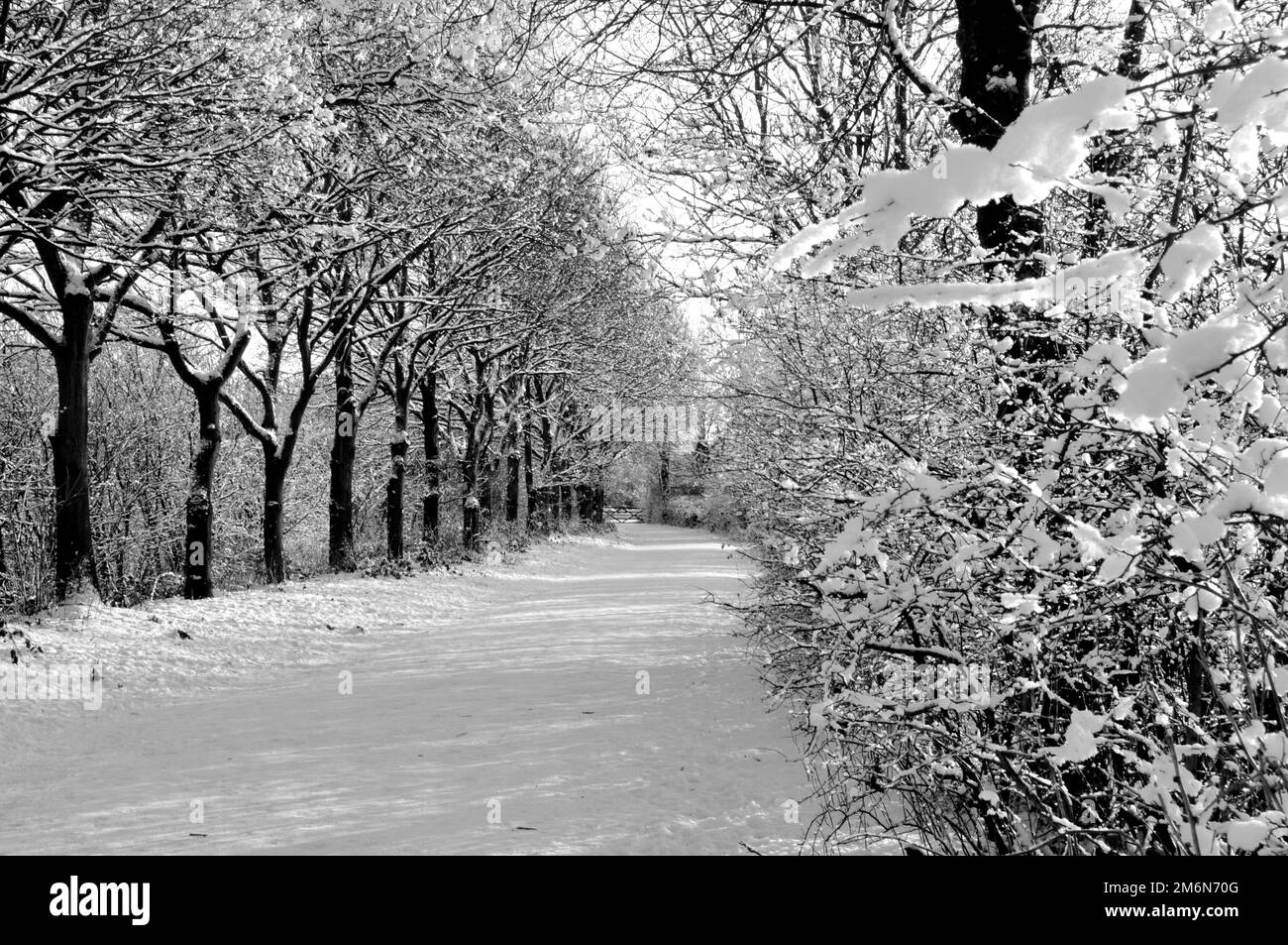 Intorno al Regno Unito - Cuerden Valley Park in inverno (in bianco e nero) Foto Stock