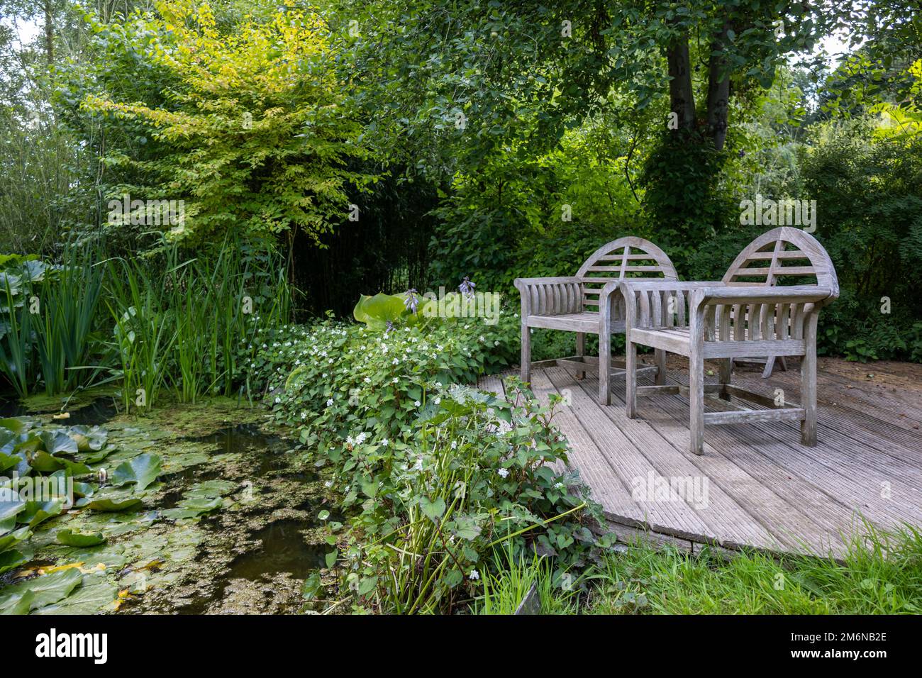 Enlgish verde giardino con acqua libbra e multiple tipo di alberi e piante Foto Stock