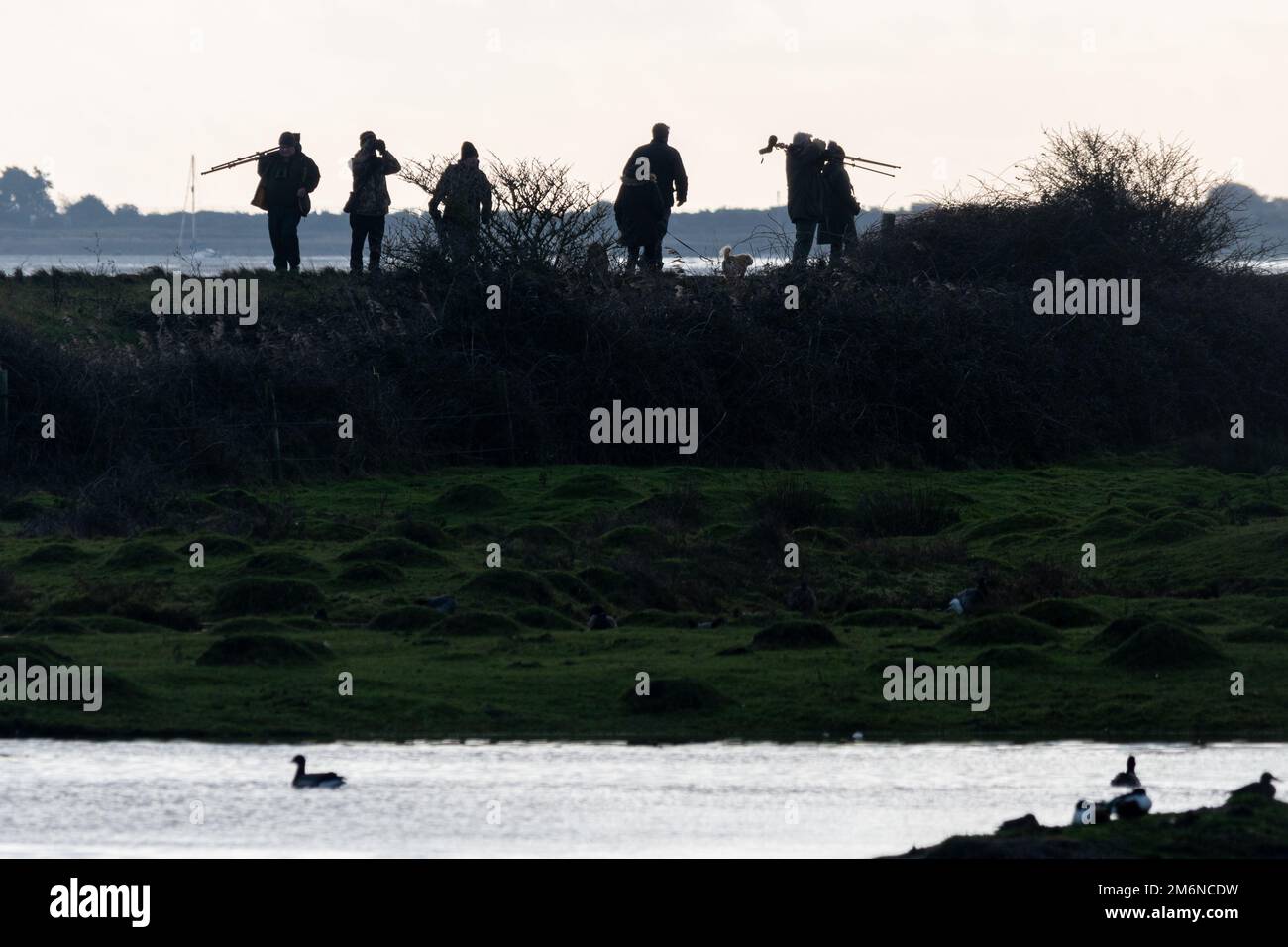 Un gruppo di birdwatchers si è stagliato contro il cielo alla Farlington Marshes Nature Reserve, Hampshire, Inghilterra, Regno Unito. Attività all'aperto sana o hobby. Foto Stock
