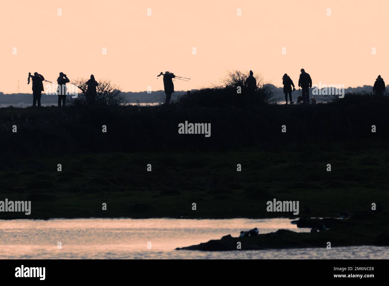 Un gruppo di birdwatchers si è stagliato contro il cielo alla Farlington Marshes Nature Reserve, Hampshire, Inghilterra, Regno Unito. Attività all'aperto sana o hobby. Foto Stock