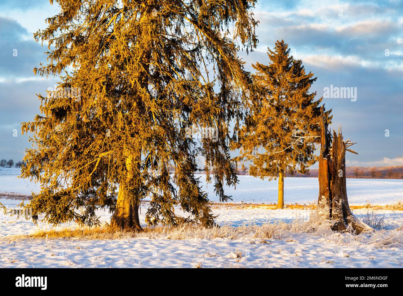 Stimmungsvolle Landschsaftsaufnahme Harzlandschaft Foto Stock