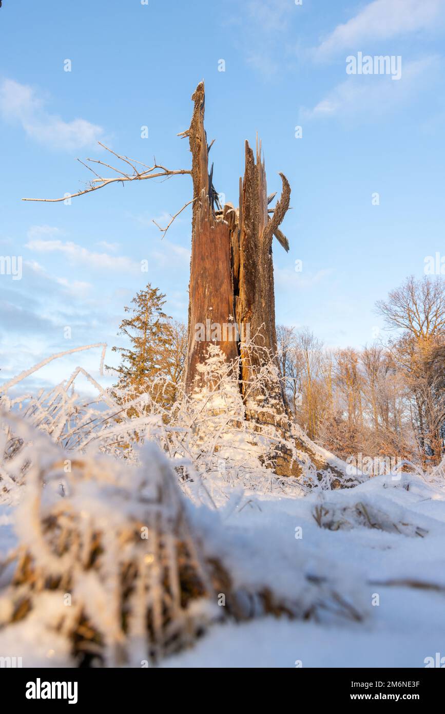 Stimmungsvolle Landschsaftsaufnahme Harzlandschaft Foto Stock